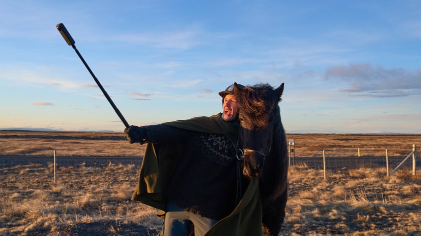 Полное руководство по основному снаряжению для верховой езды